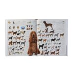 الموسوعة المصوّرة – موسوعة على كل صفحة