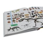 الموسوعة المصوّرة – موسوعة على كل صفحة