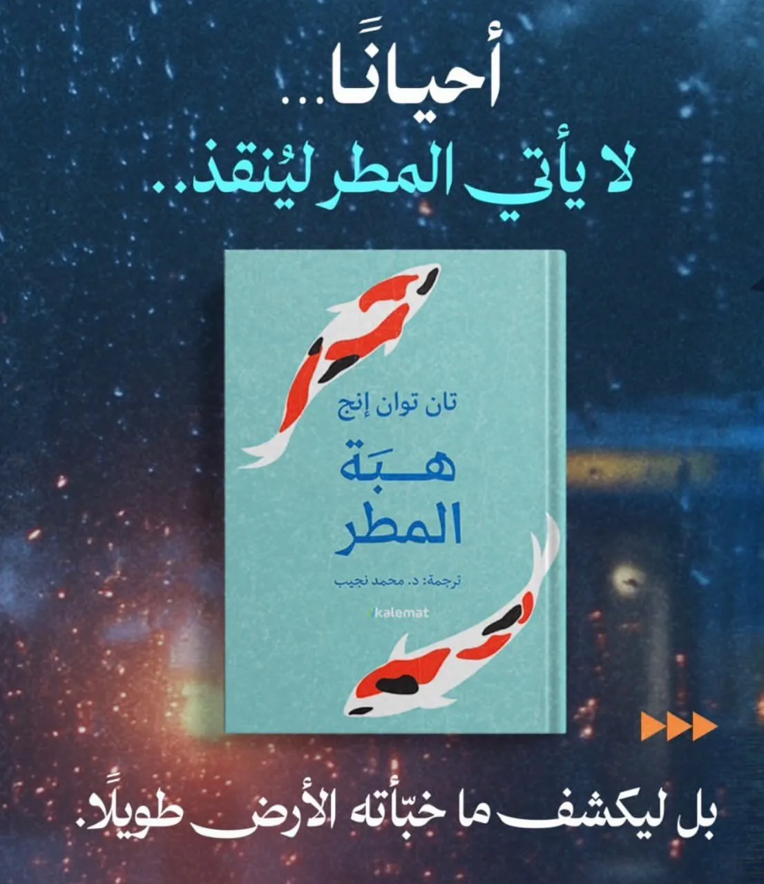هبة المطر